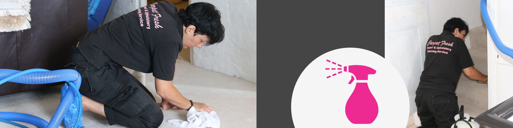 Carpet Cleaner Exeter