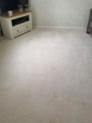 Carpet Cleaner Honiton