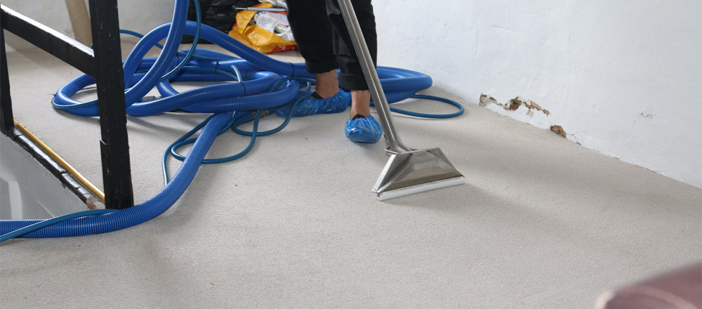 Carpet Cleaning Honiton