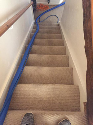 Carpet Cleaner Honiton