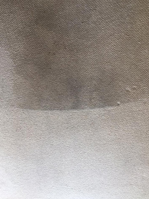 Carpet Cleaner Honiton