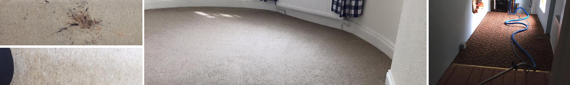 Carpet Cleaners Exeter