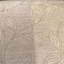 Carpet Cleaners Exeter