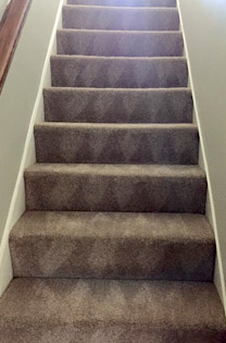 Carpet Cleaner Exeter