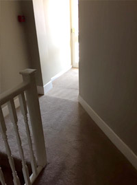Carpet Cleaner Exeter
