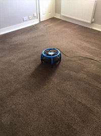 Carpet Cleaners Exeter
