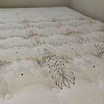 Exeter Carpet Cleaners