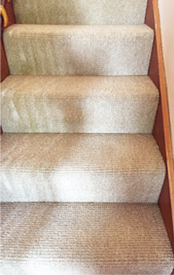 Carpet Cleanng Exmouth