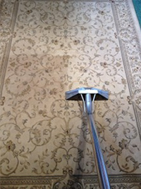 Cleaners Carpets Exeter