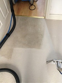 Exeter Carpet Cleaners Exeter