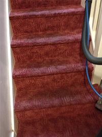 Carpet Cleaners Exeter