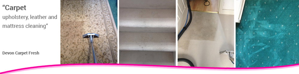 Leather Cleaning Exeter